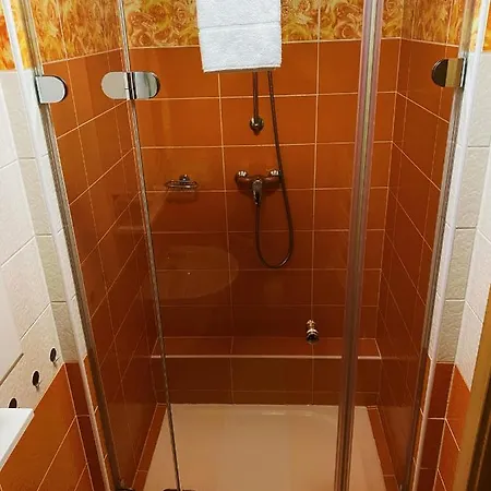 Lašská Chalupa Penzion *